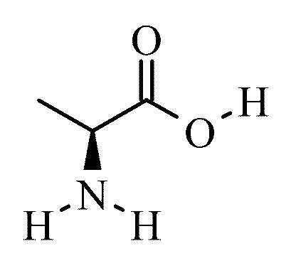 L-alanine (2-aminopropanoic Acid) 1g